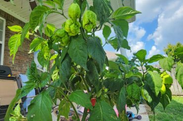 Should I be concerned?