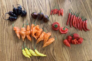 It was a good day at the Farmer’s Market!