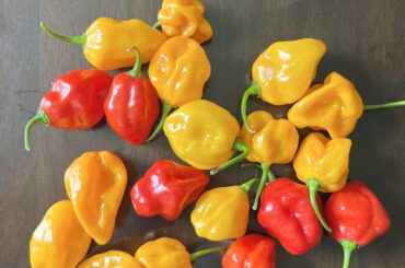 Habanero Salsa Recipe