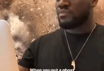 Lunch stolen, trap deployed, tea chugged