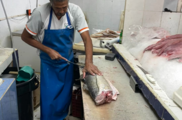 Fresh robalo from the fish market- PVR, Mexico