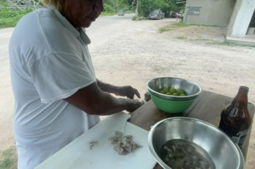 Street ceviche/PVR, Mexico