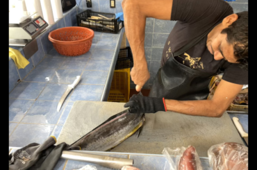 Dorado cut for the grill- La Cruz de Huanacaxtle, Mexico