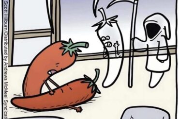 Saw this meme and had to share with you guys