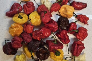 $5 and all supposedly hotter than a ghost pepper. I love NC!