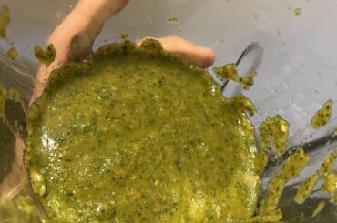 Roasted Hatch Poblano Salsa