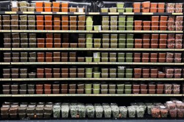 I made it to (salsa) mecca