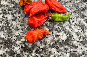 What are these? I think not habenero