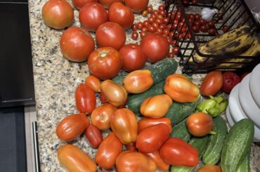 Help. Have to make a lot of salsa.