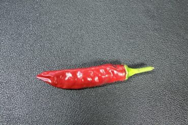 Anyone know what kind of pepper this is? It is extremely spicy.