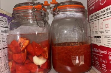 Hope this goes well! First ferment