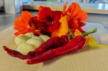 Nasturtium hot sauce