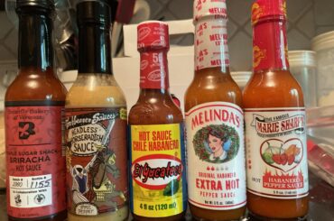 Thoughts on our Purchase?