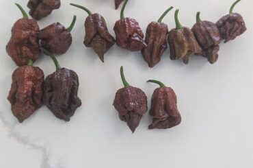 The hell did I grow?