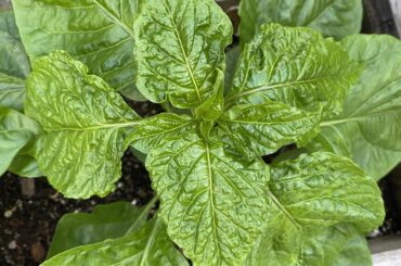 What’s going on here?