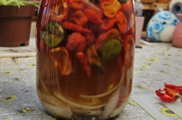 Pickled scorpion peppers