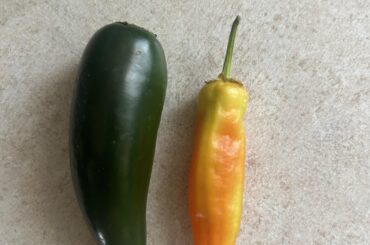 What kind of pepper is this and why is it turning orange and soft? Does that mean it’s ripening