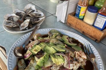 Oysters and clams since the video didn’t show the images at the end- PVR, Mexico