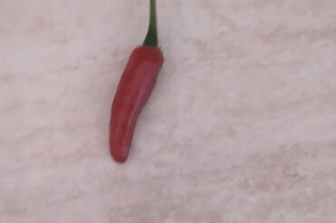 Can someone tell me what this guy is