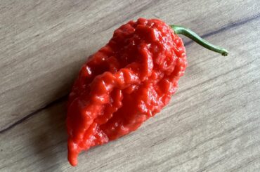 ID please, it supposed to be carolina reaper