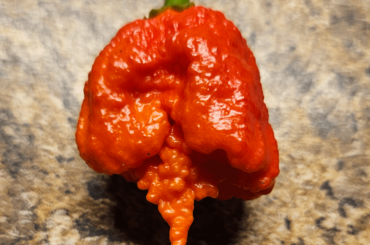 First Reaper this year!