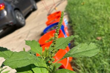 What is this called?