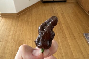 My very first super hot kid