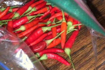 Can anyone id these peppers?