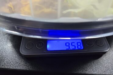 $10 for a power bowl that's a little over half a pound of food. Is this a fucking joke Taco Bell? 3 years ago the power bowl at my TB was $5.99, and they didn't cheap out like this. Is it time to break up with TB? I don't feel the love anymore :|