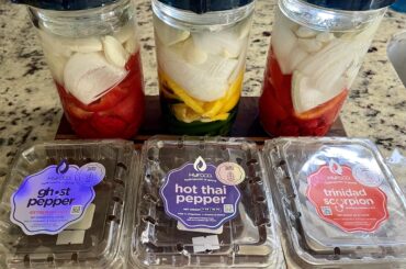 Small batch session fermented hot sauces. See you in 10 days.