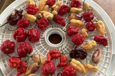 If You Can’t Use ‘Em, Dry ‘Em