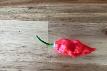 This IS a Ghost pepper, right?