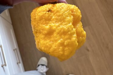 Does anyone have an idea of what pepper this is?