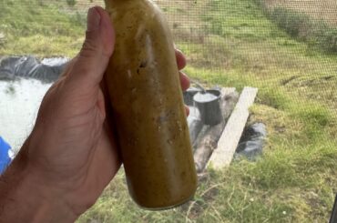 I’m so proud of my creation, an Ecuadorianish style rocoto based hot sauce.