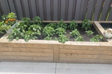 Rate my 40 days of growth