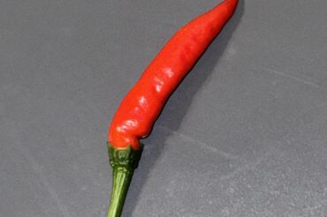 first pepper of the season