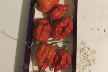 Are those Carolina Reapers?