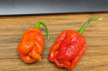 Gift for my coworker... I'm such a good friend.