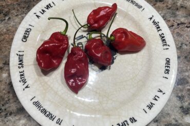What peppers are these?