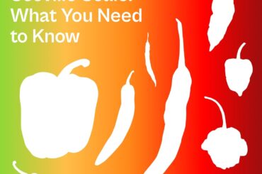 Understanding the Scoville Scale: What You Need to Know