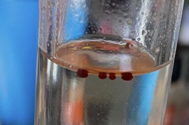 Red globular balls in chili pepper water