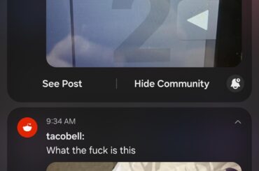 My reddit notifications right now