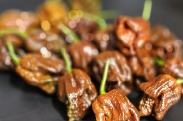 For chocolate lovers!