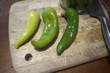 Could anyone help me ID these guys?