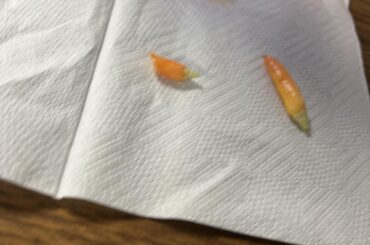 What kind of pepper is this?