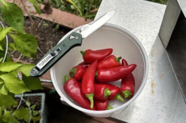 what should i do with these fresnos?