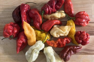 Farmer’s market pepper haul