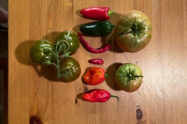 Maybe a couple of salsa varieties and heat levels???