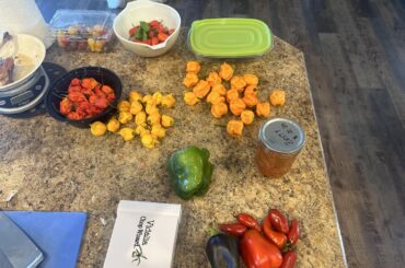 Dragons breath Salsa