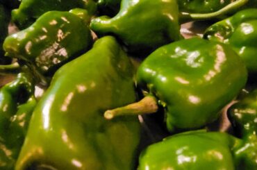 Half of my bell and poblanos are covered, but others haven't even flowered...